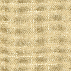 BASICS - 34482-16