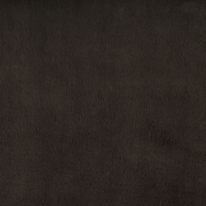 BASICS - 34642-6