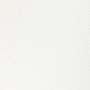 BASICS - 36017-101