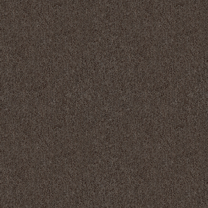 BASICS - 31779-11