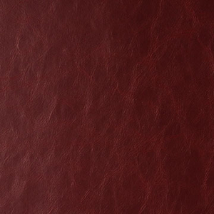 DAYTRIPPER - MAROONED