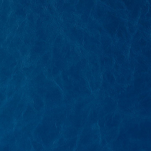 DAYTRIPPER - BLUE NOTE