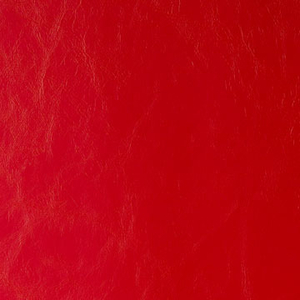 DAYTRIPPER - CHERRY BOMB
