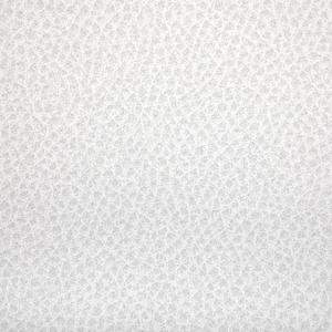 WOOLF - FOSSIL