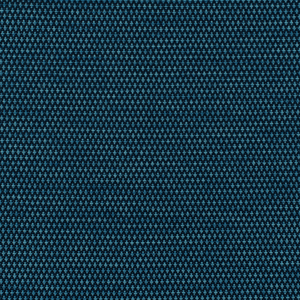 MOBILIZE - NEPTUNE