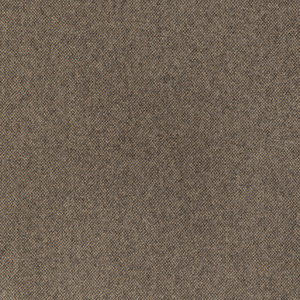 MANCHESTER WOOL - BISCOTTI