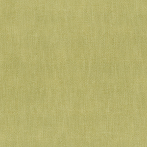 VERO - LIME
