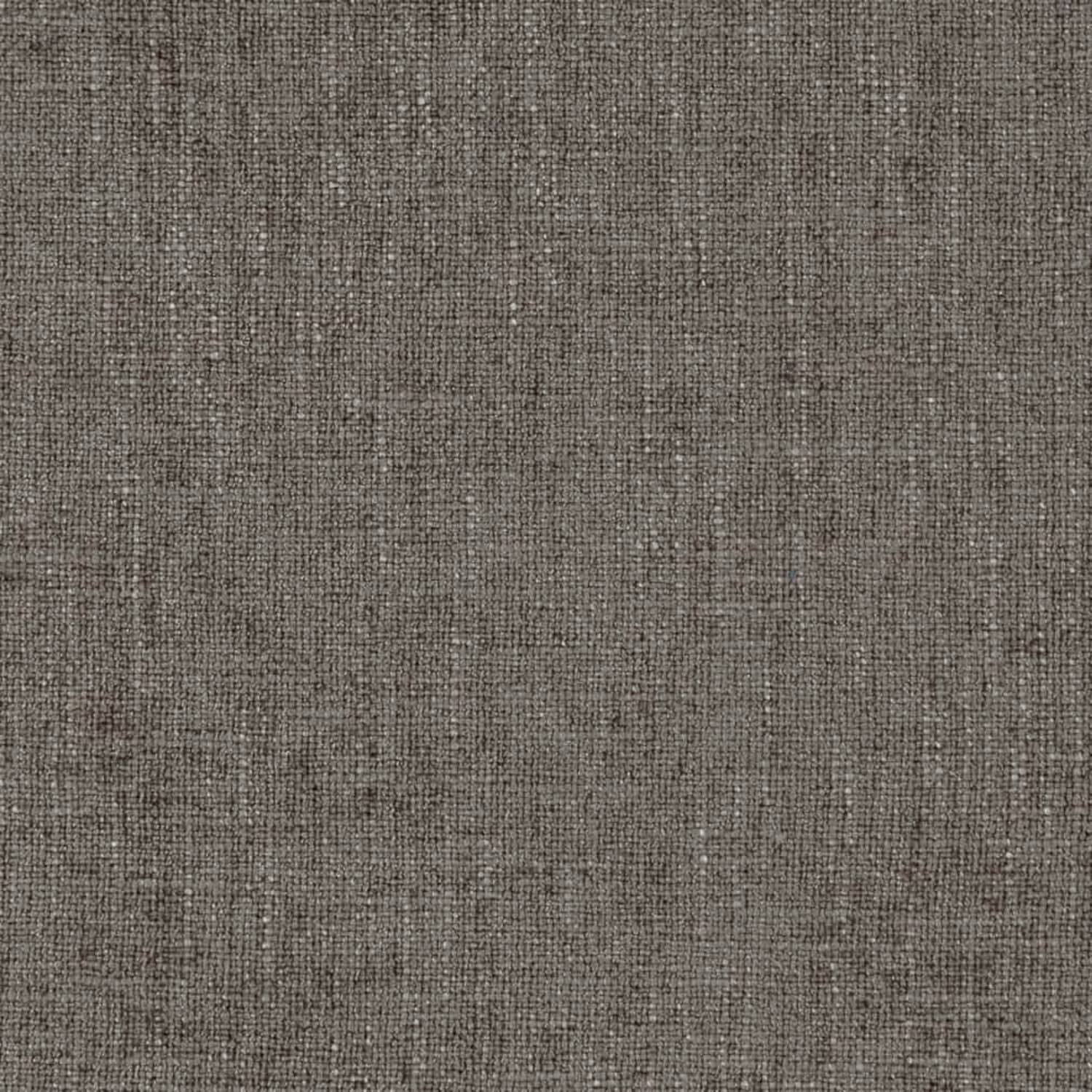 HB80416 Dove