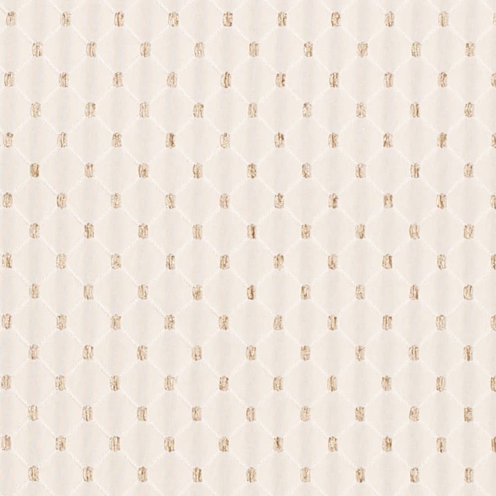 HA80263 Ivory
