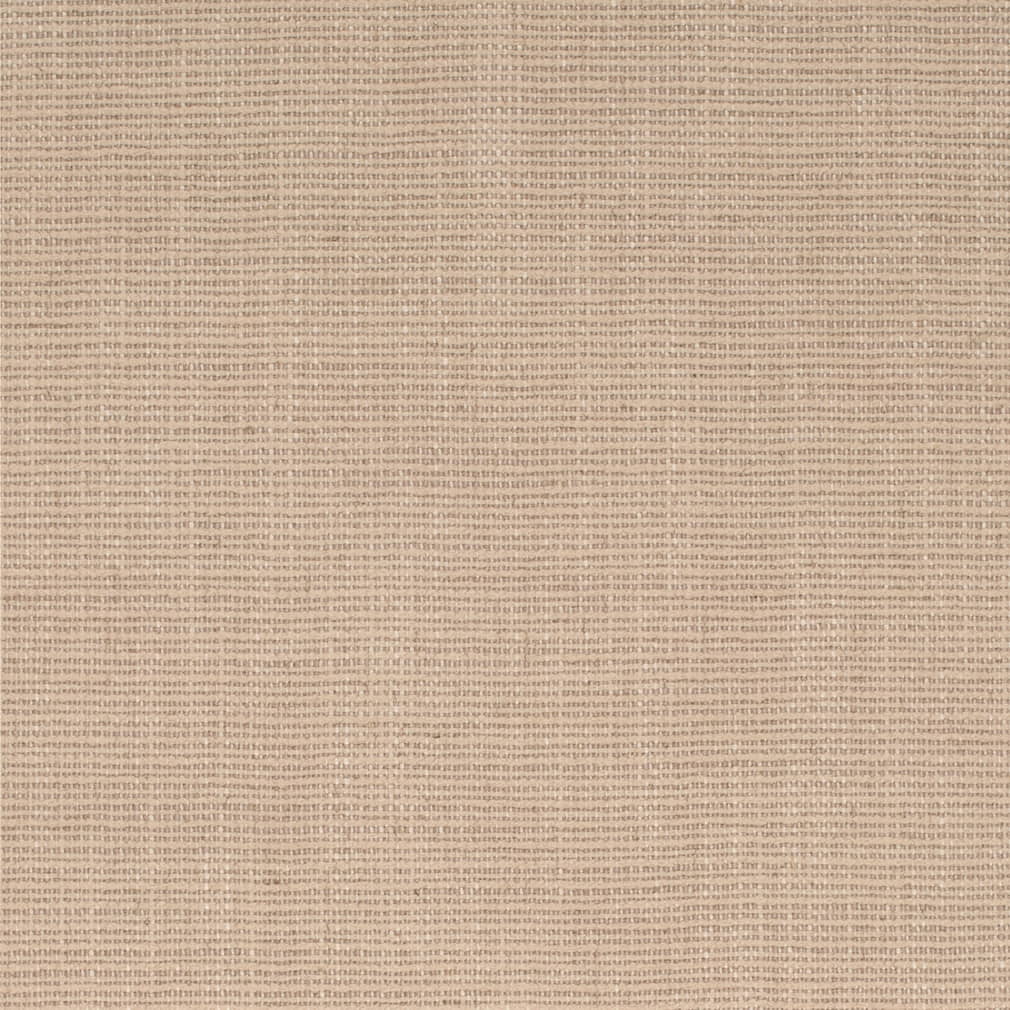 HF80251 Wheat