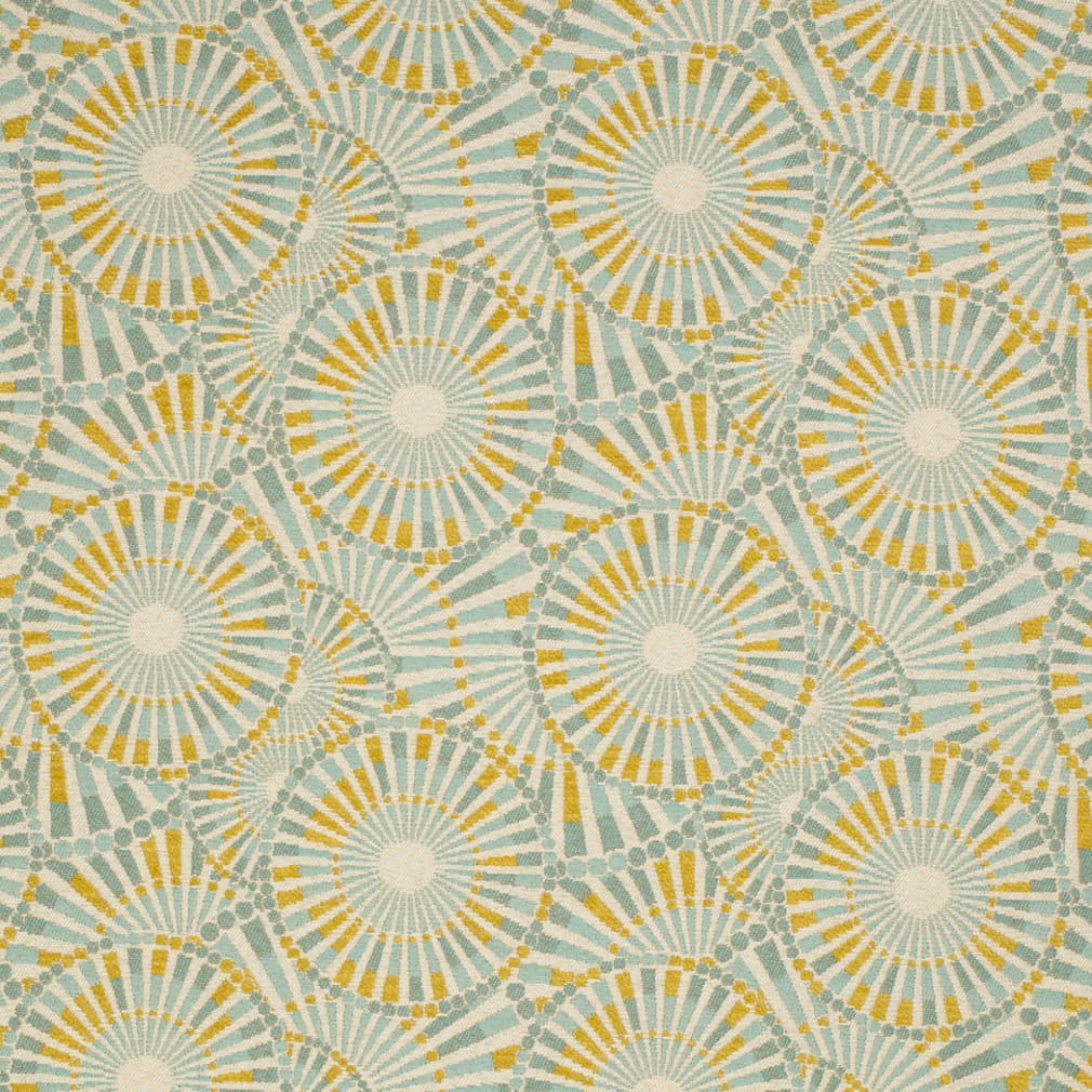 Y2317 Summer