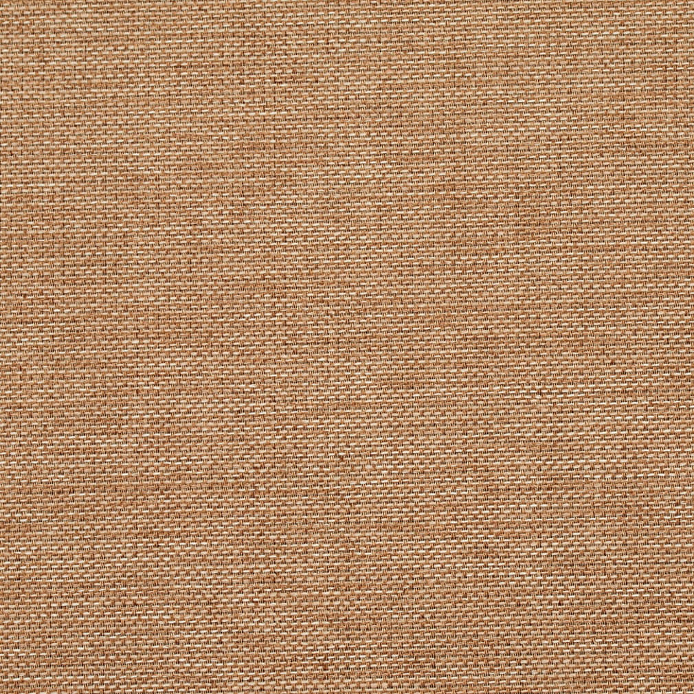 Y2024 Latte