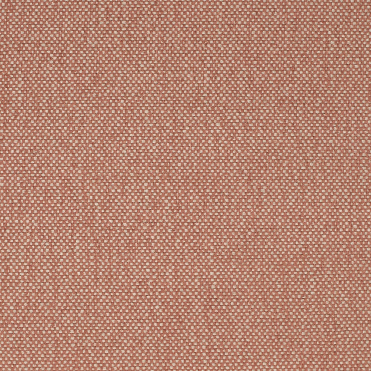 D4470 Adobe