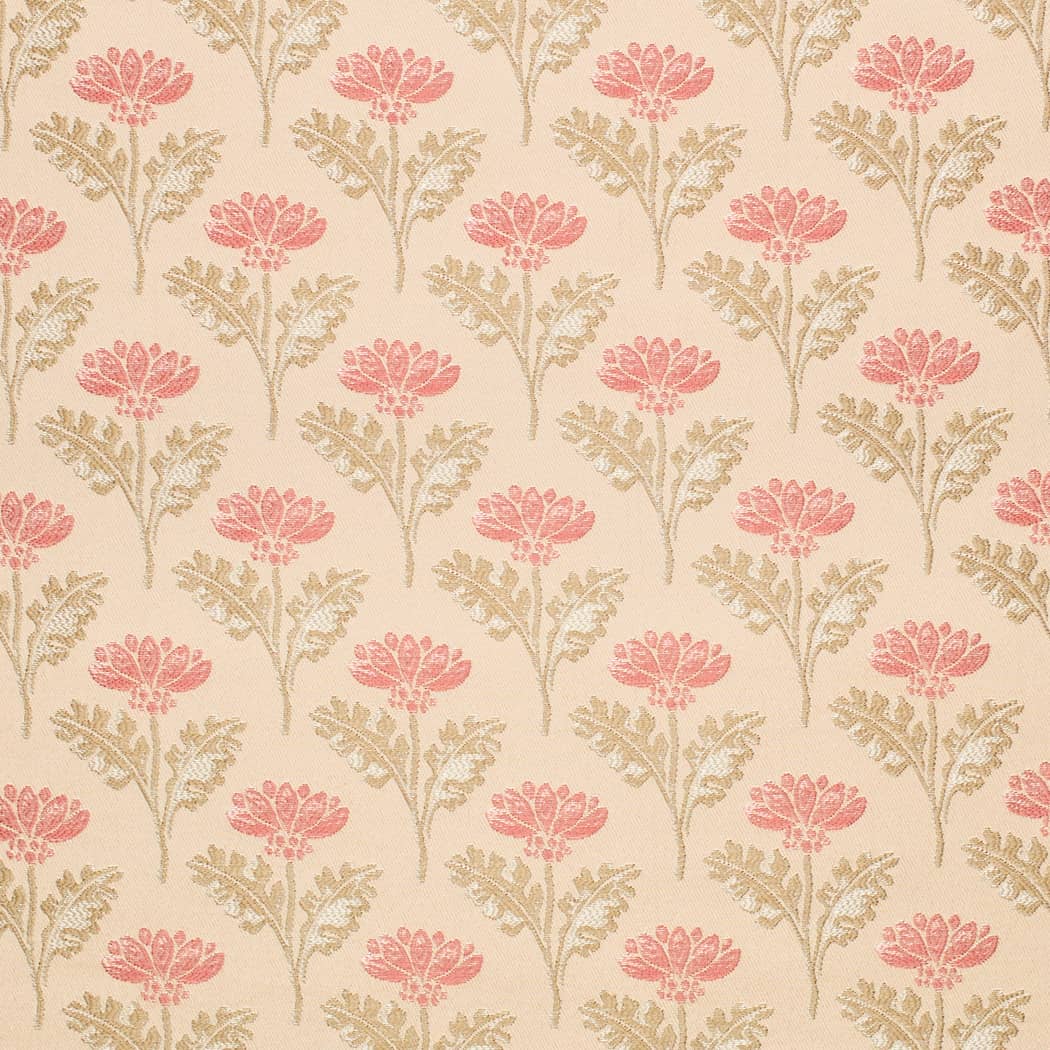 D4419 Grace Coral