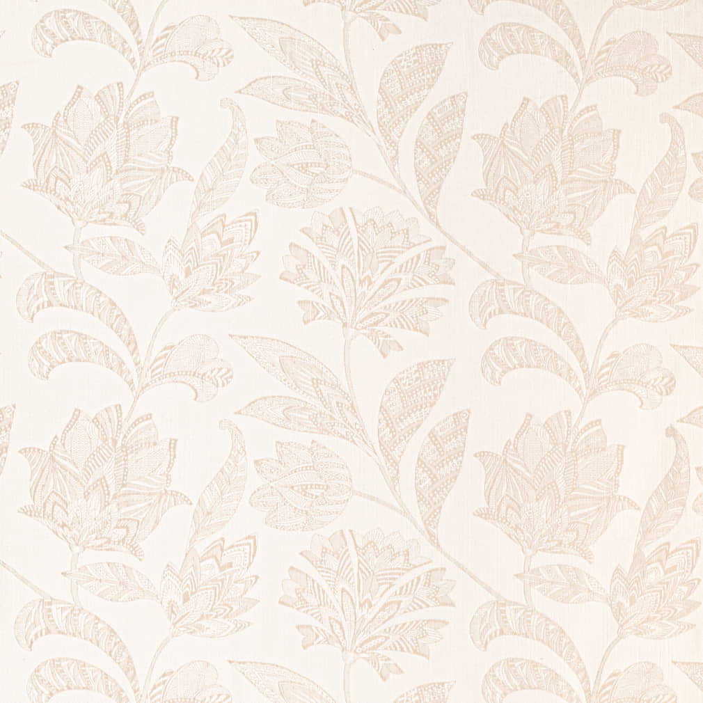 HD1134 Birch