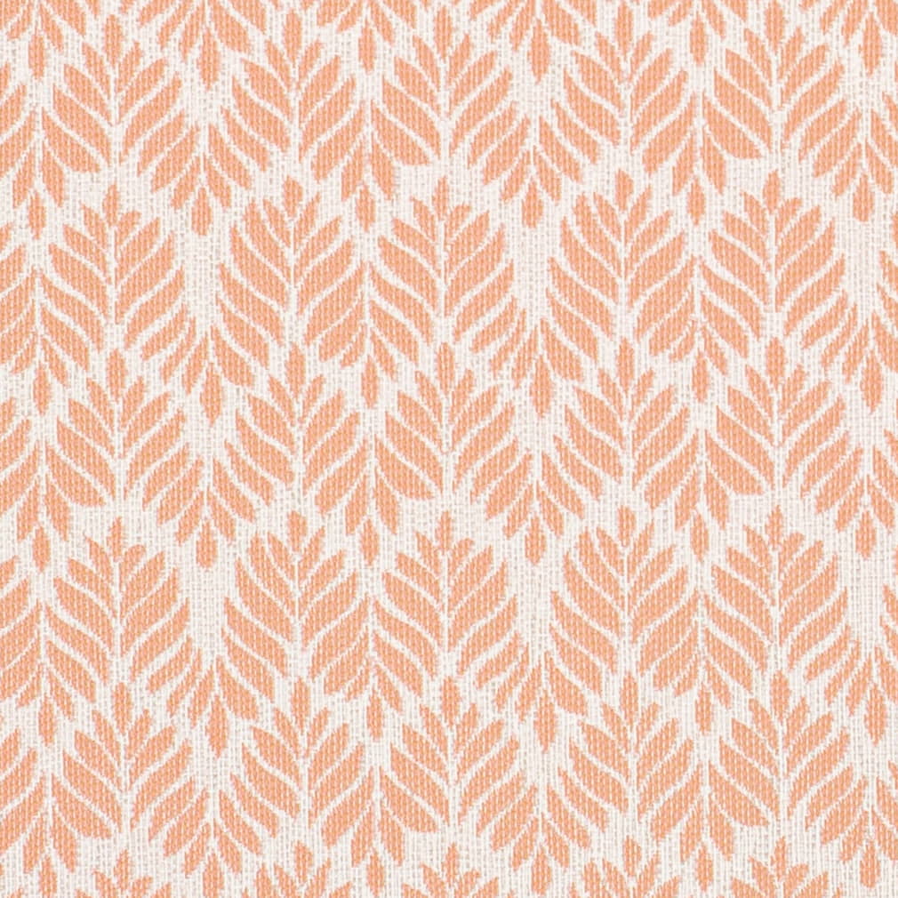 HG1032 Coral