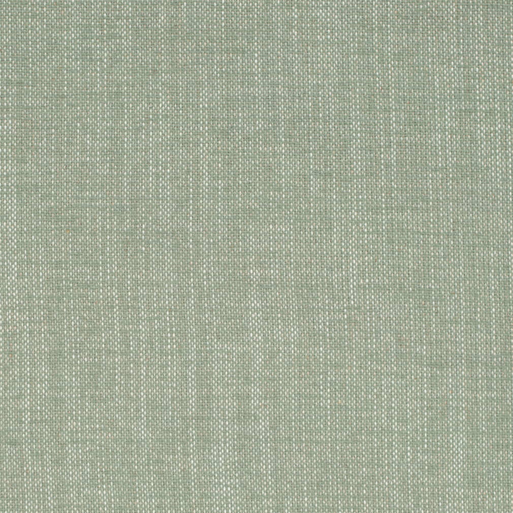 D4165 Sage