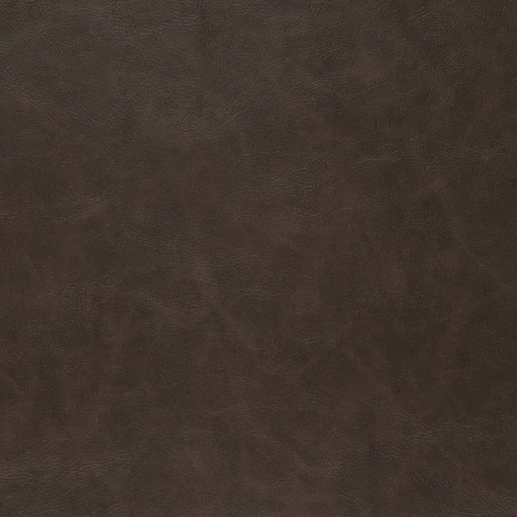 V909 Cocoa
