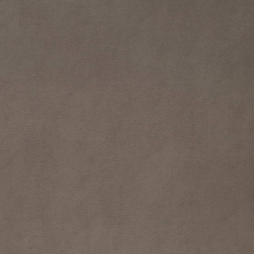 V865 Pewter