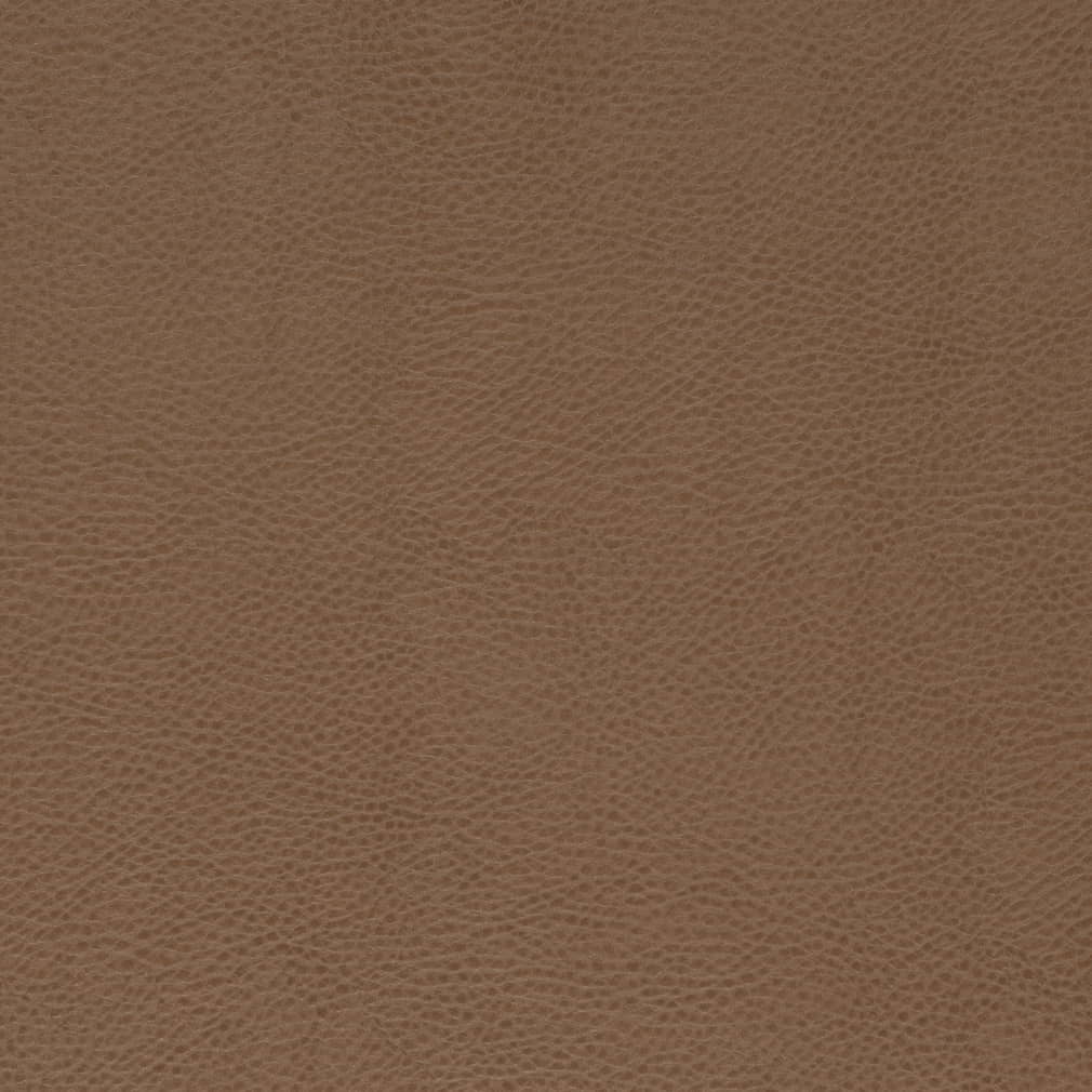 V869 Bronze