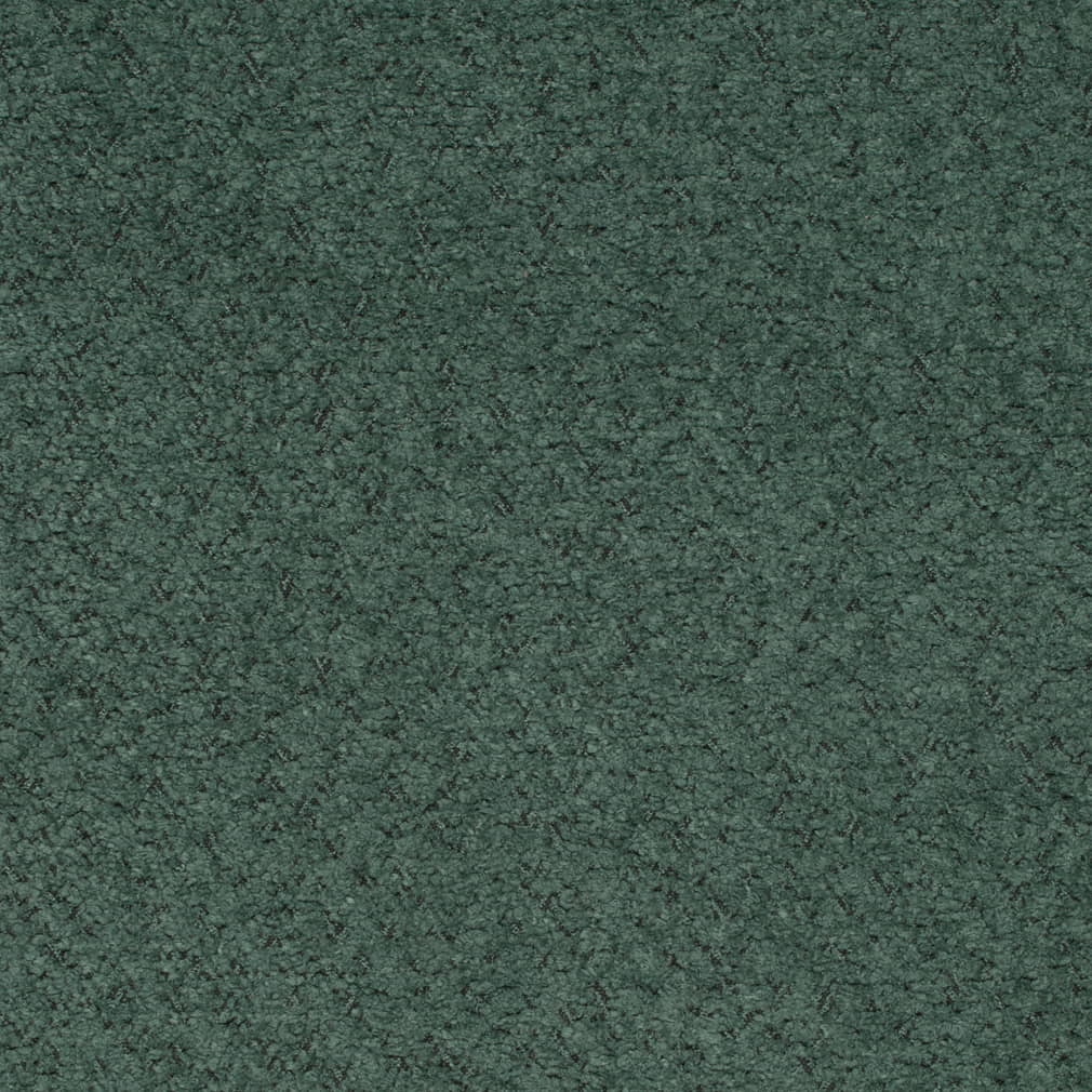 D4207 Forest
