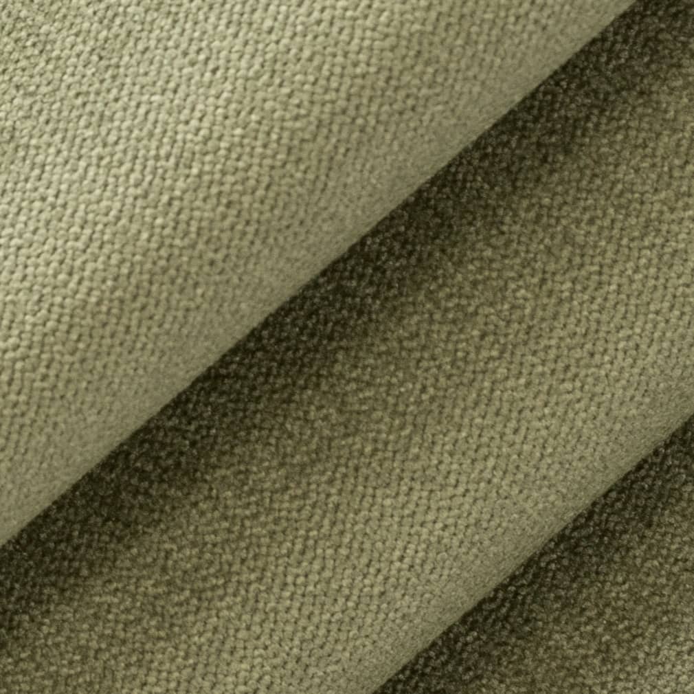D3834 Fern · miniatura 2