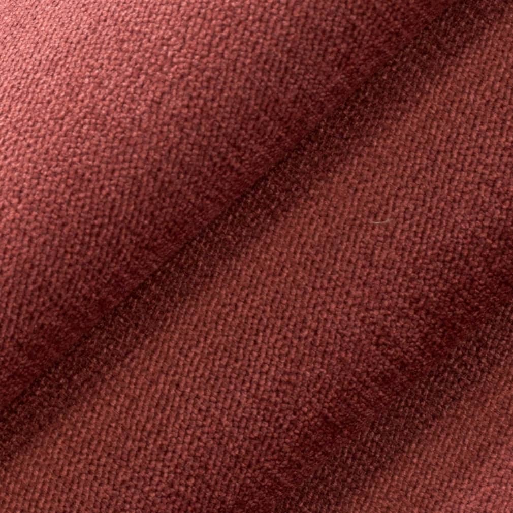D3850 Poppy · miniatura 2