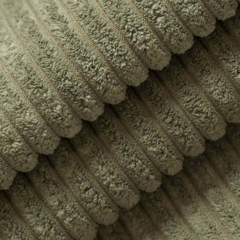 D3917 Fern · miniatura 3