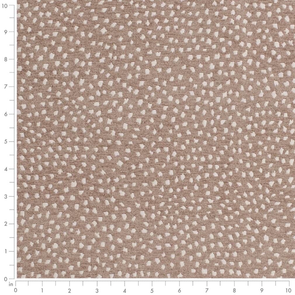 D3762 Mushroom · miniatura 2