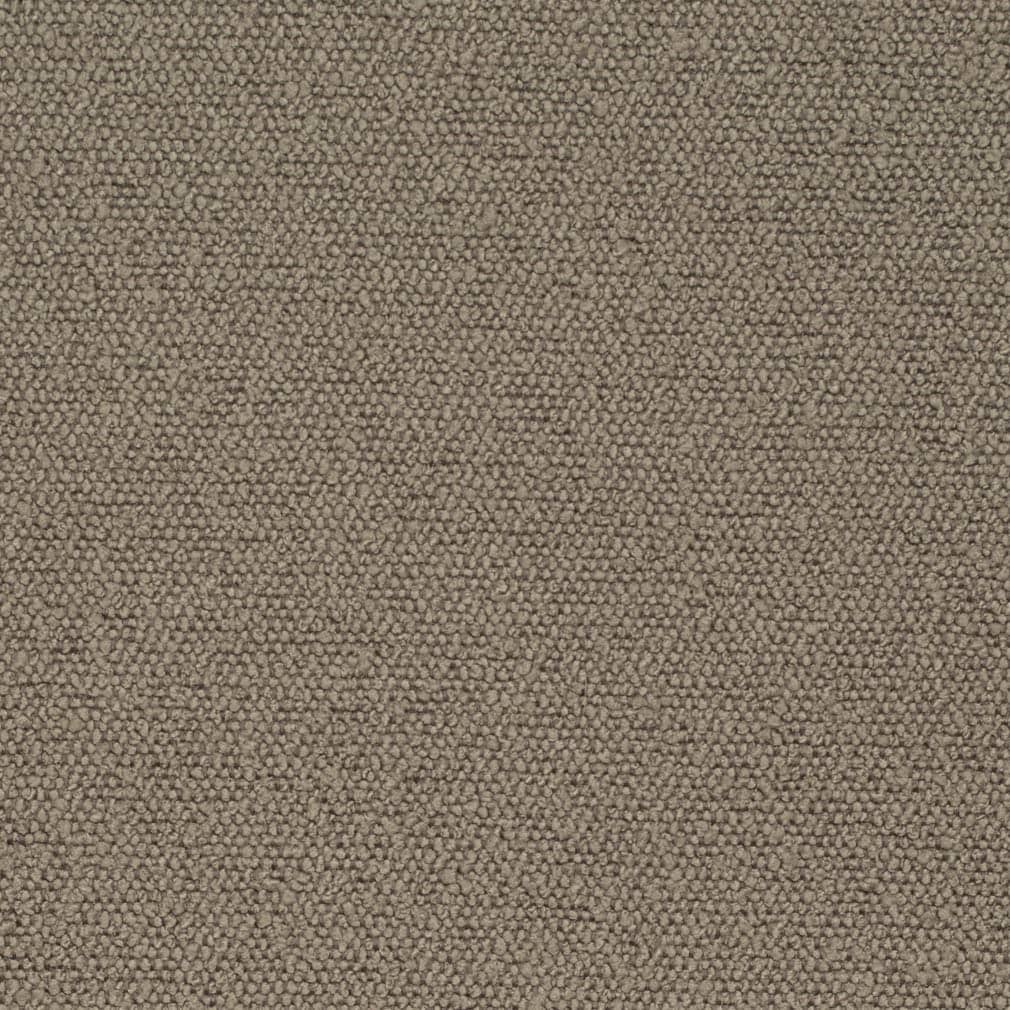D3634 Latte