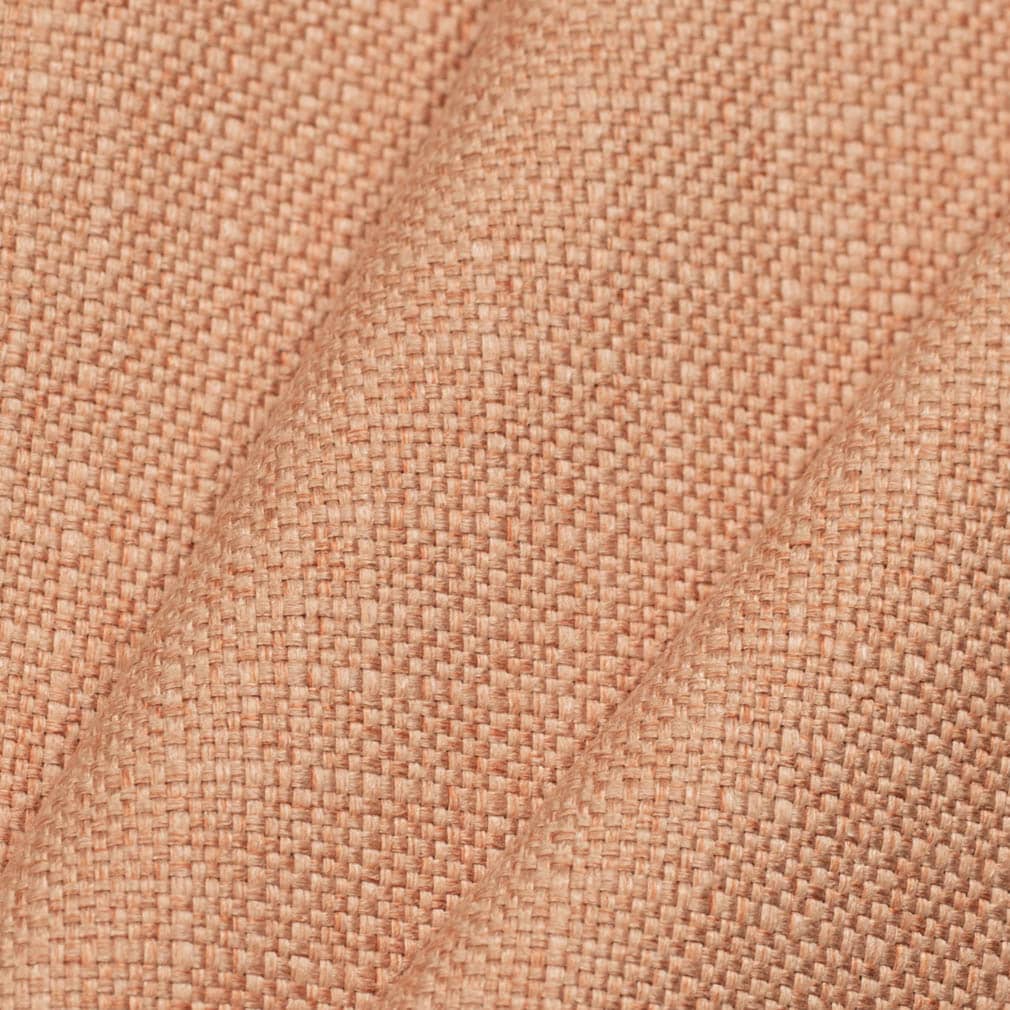 D3719 Salmon · miniatura 2