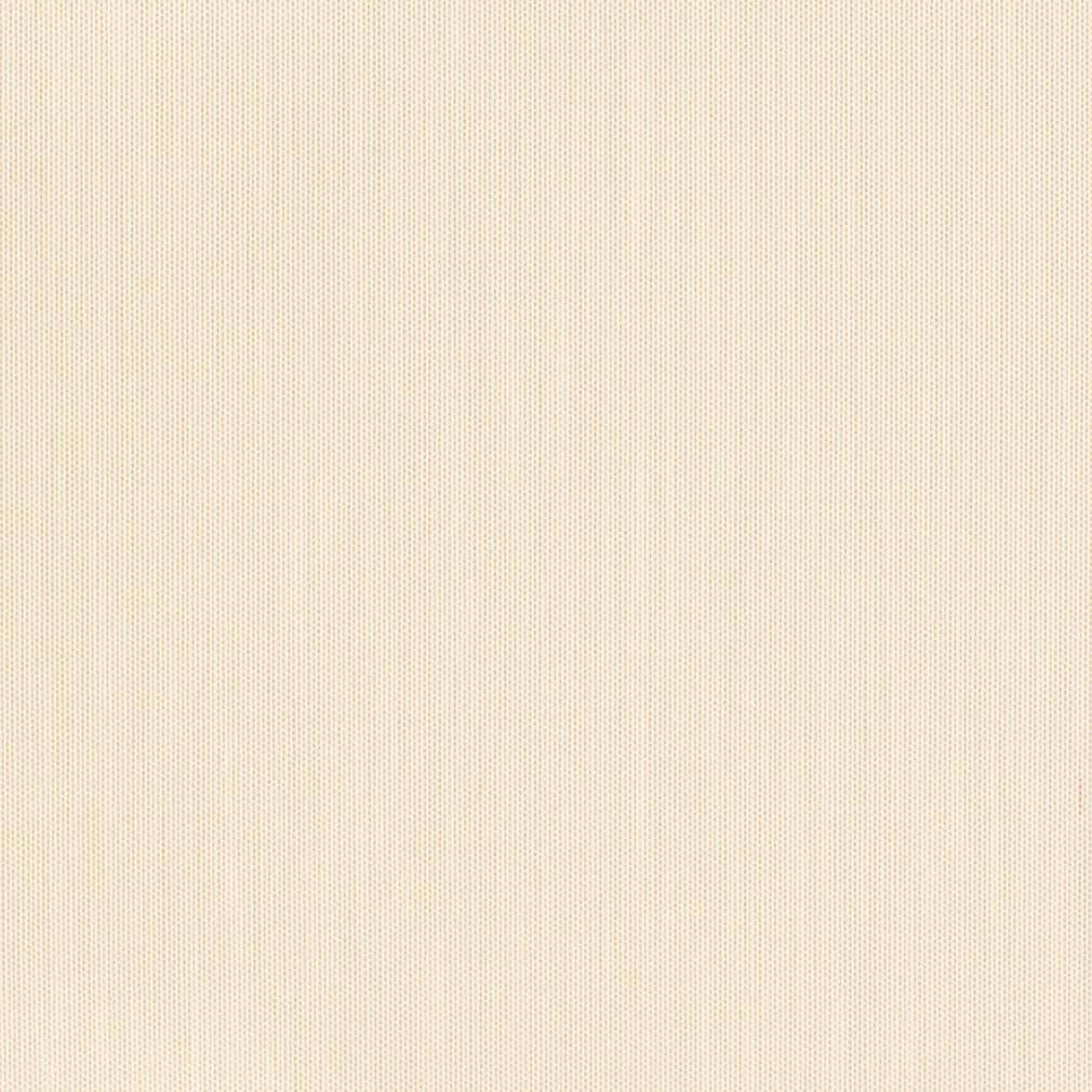 D3450 Seashell