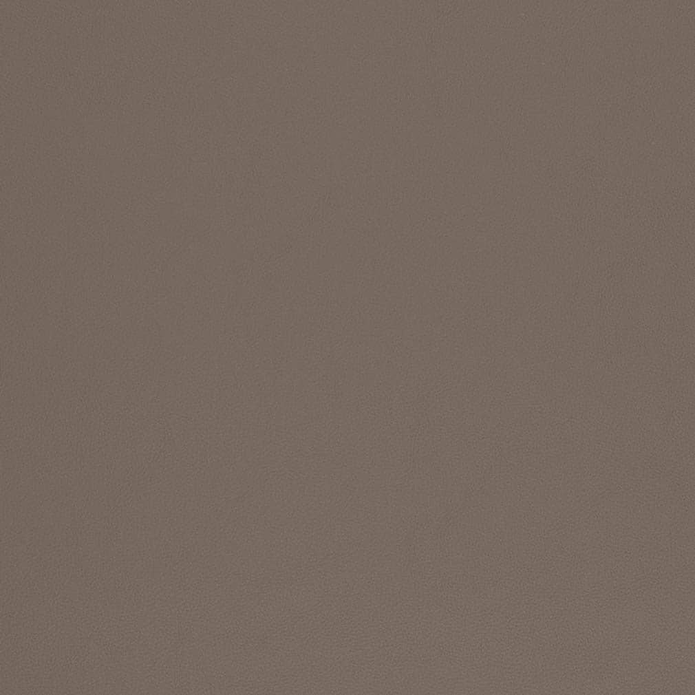 V814 Mocha