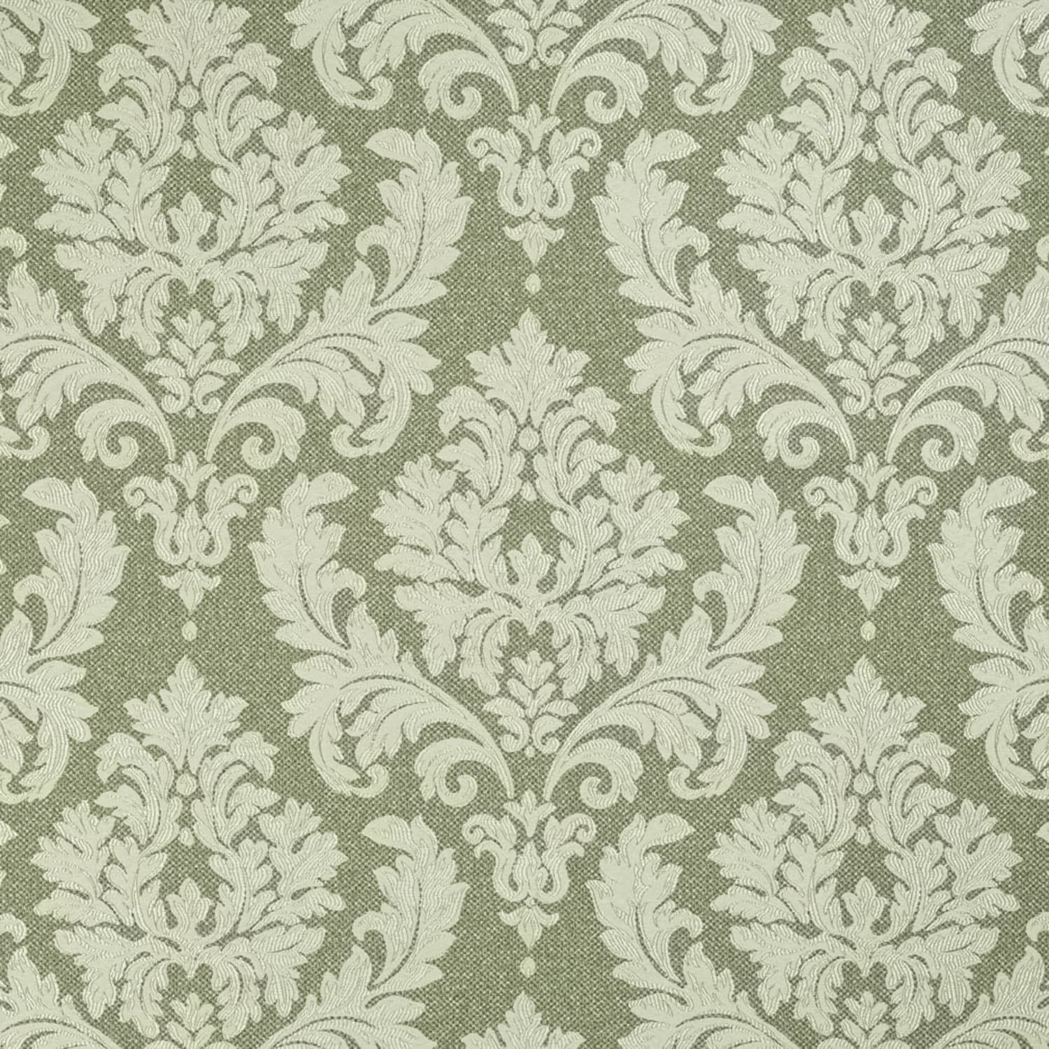 D3262 Juniper Victoria