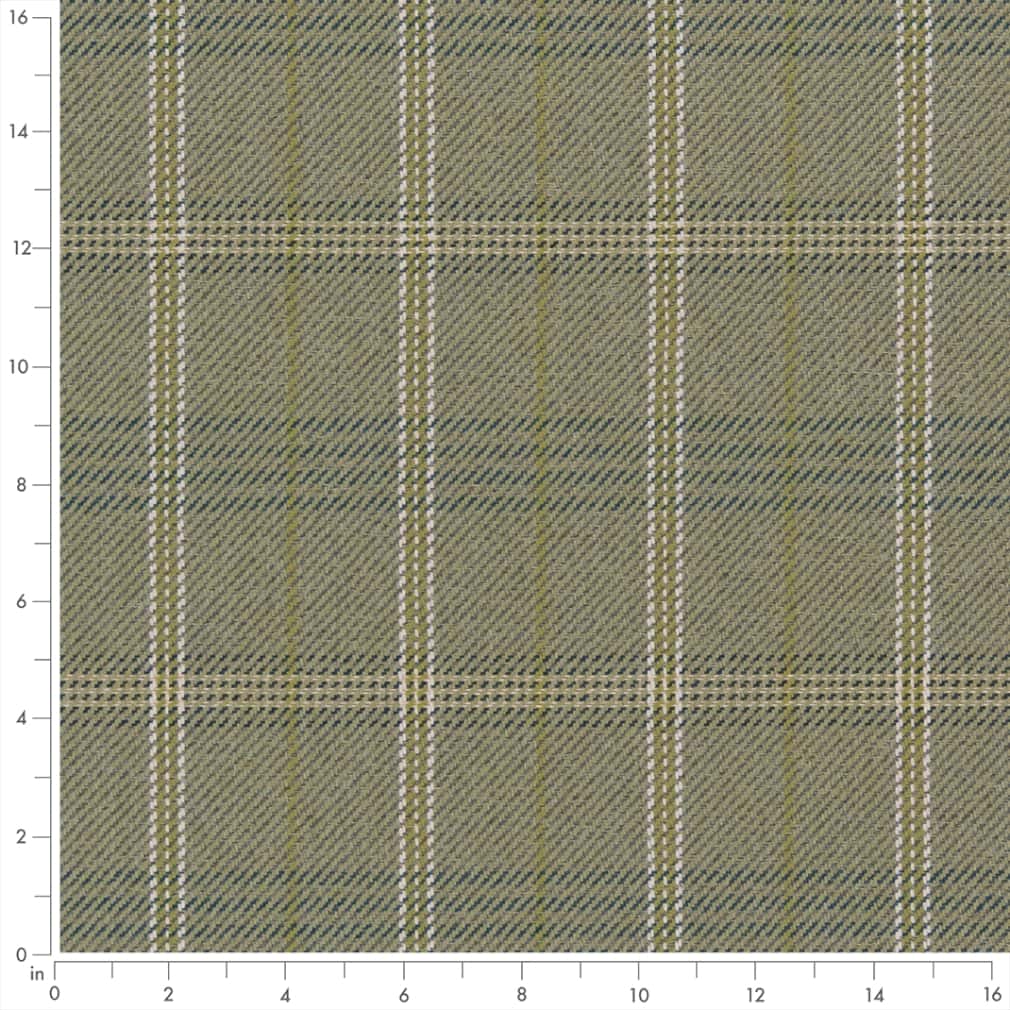 HC1251 Fern · miniatura 2