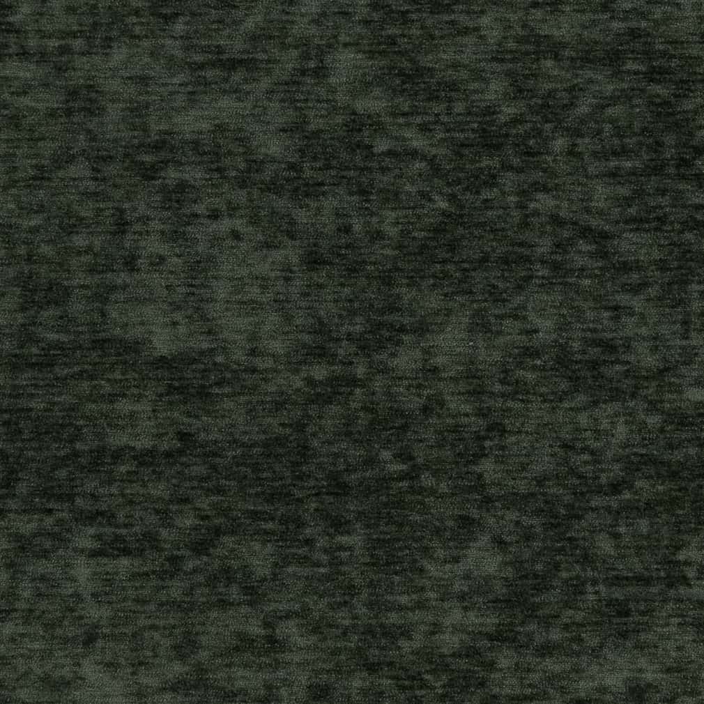 HF1043 Forest