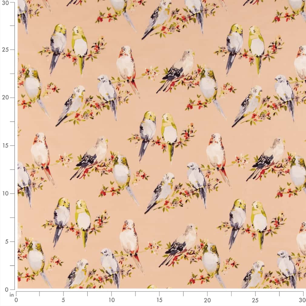 HA1059 Bloom · miniatura 2