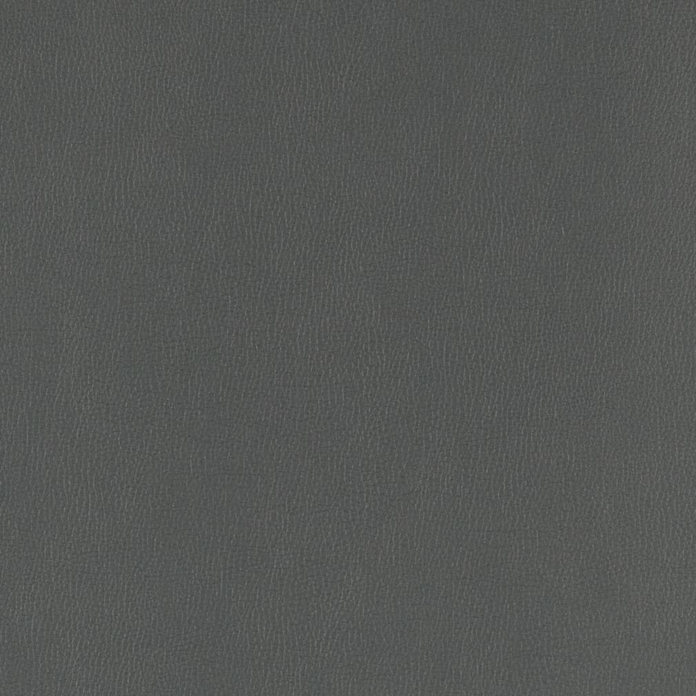 PV805 Coal