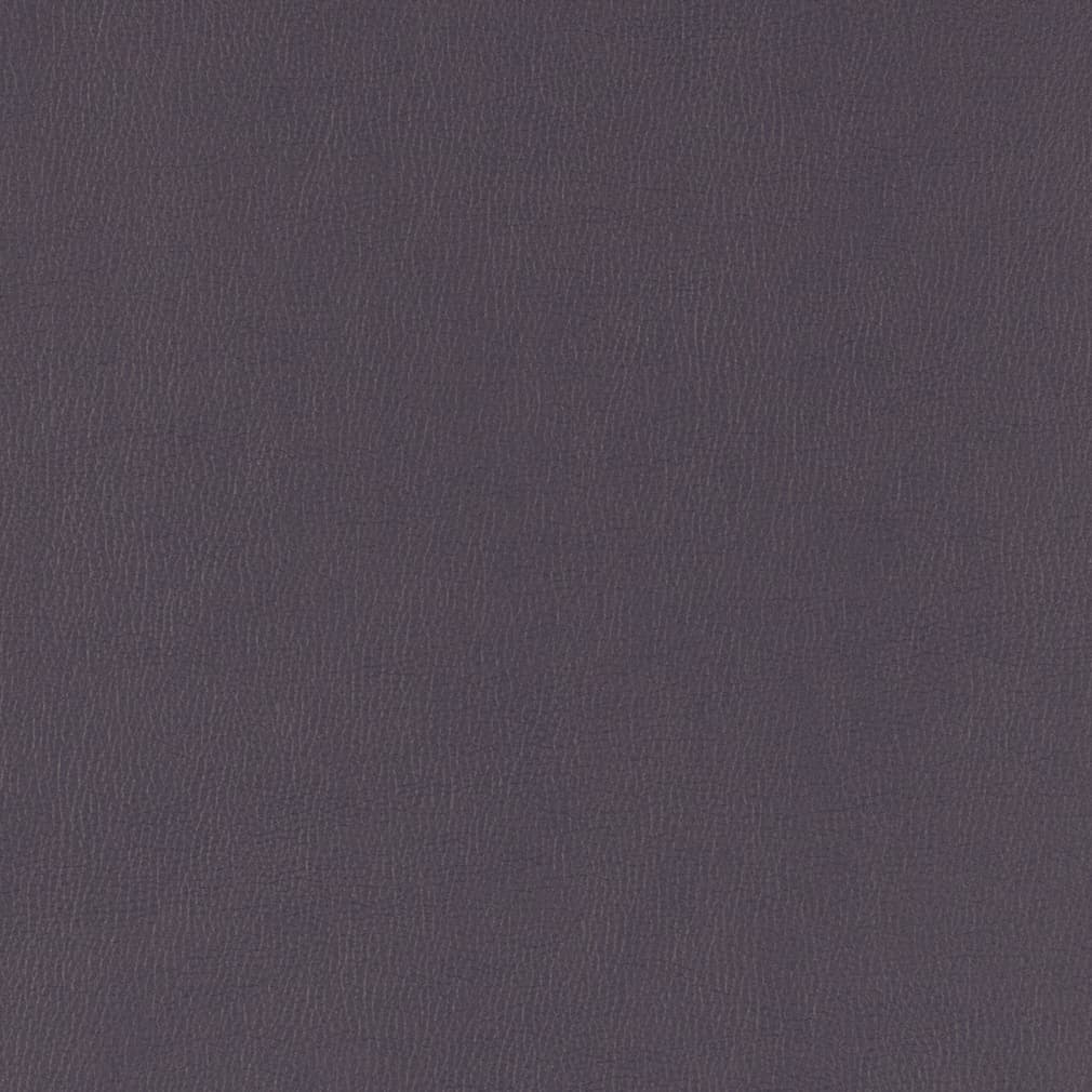PV804 Violet