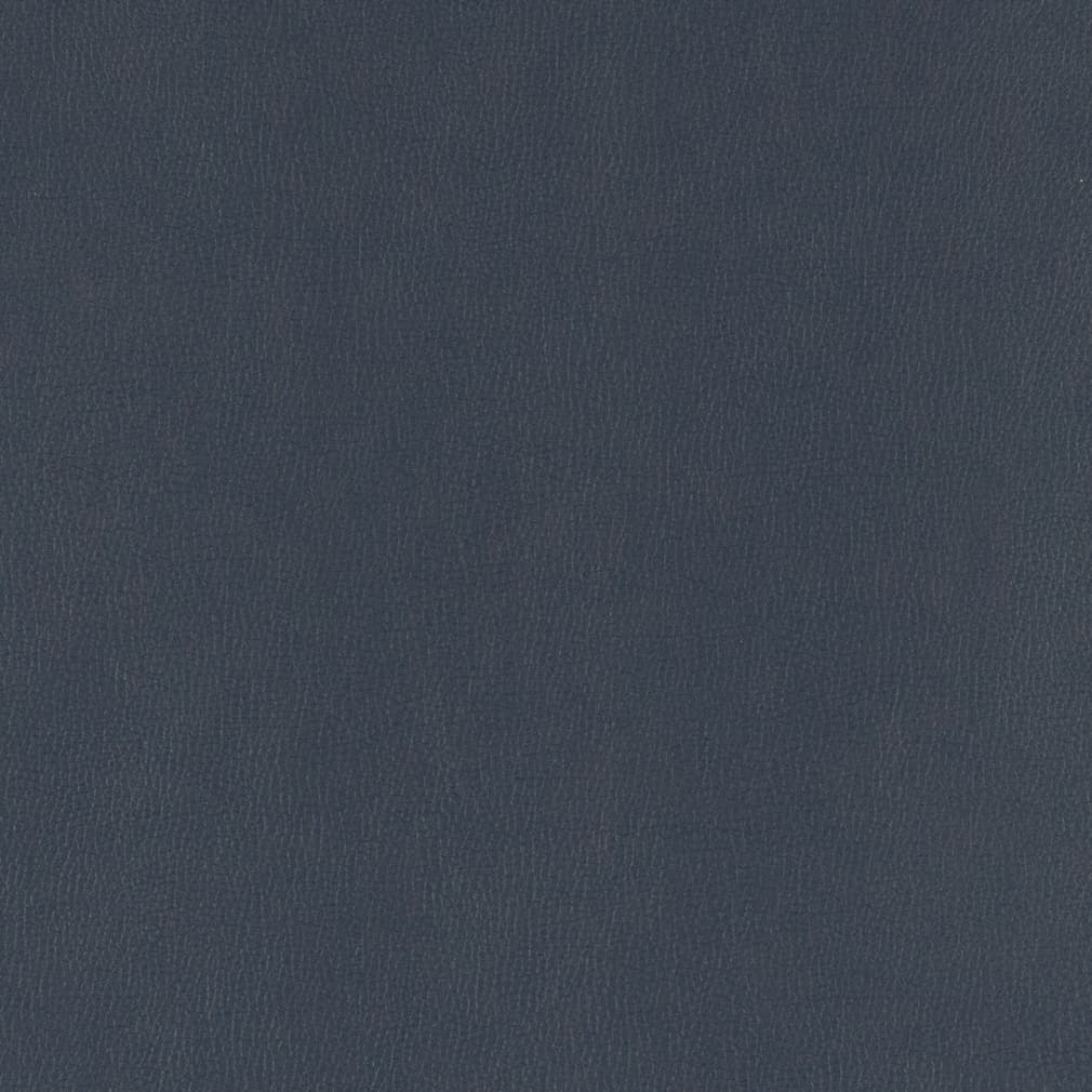 PV803 Navy
